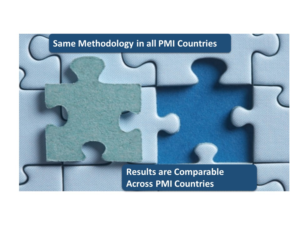 PMI Primer, page 13